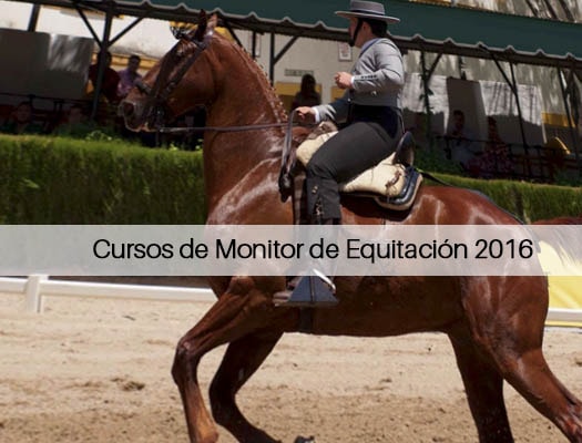 Cursos de Monitor de Equitación 2022